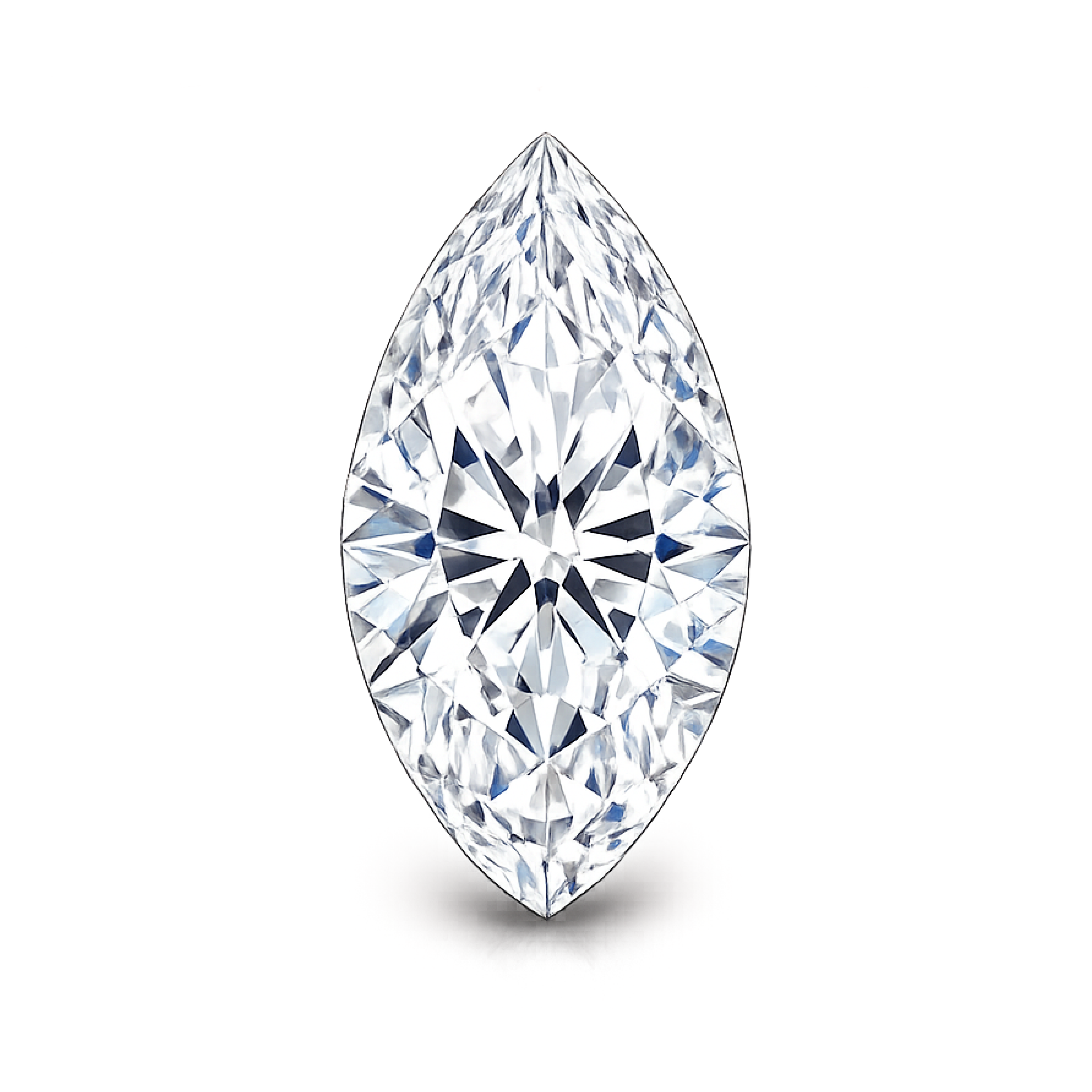 Marquise